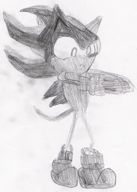 Shadow the Hedgehog from the game thing... by Badger_The_Charmeleon