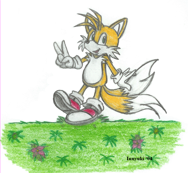 Tails by Battousai