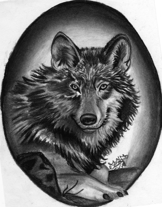 Wolf by Beafallo_Betty