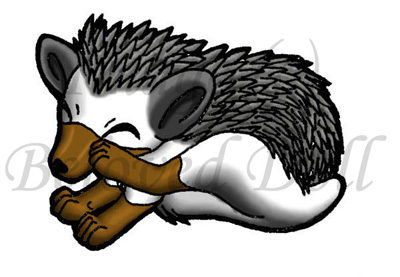 The Cutest Hedgehog by BelovedDoll