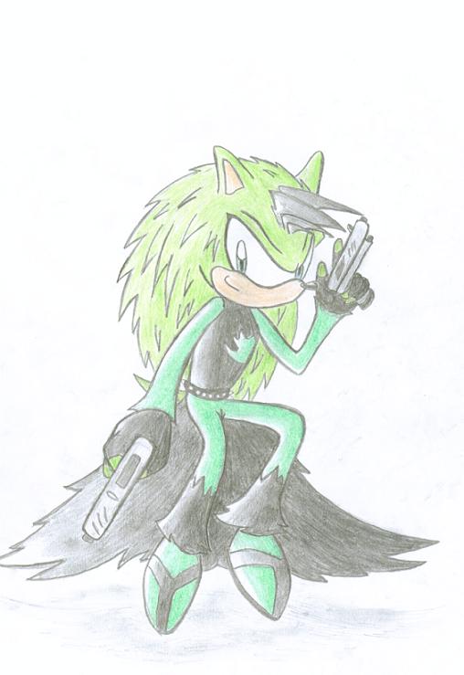 Heath The Hedgehog (contest entry) by BlackChaos65