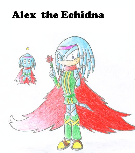 Alex the Echidna. ( for Rouge Clawdite) by BlackChaos65