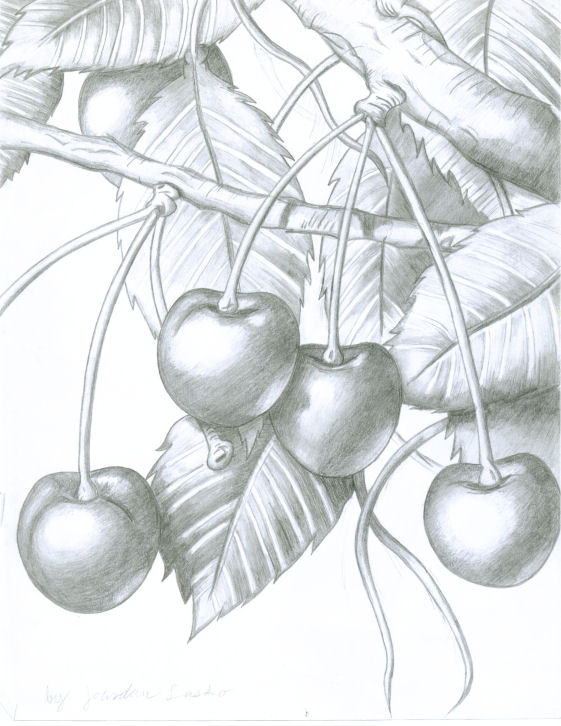 Cherries...yum =) by BlackChaos65