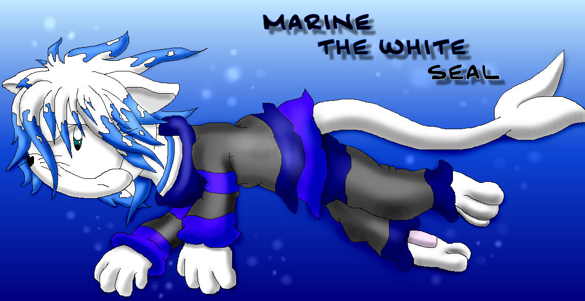 Marine the white seal (gift) by BlackChaos65
