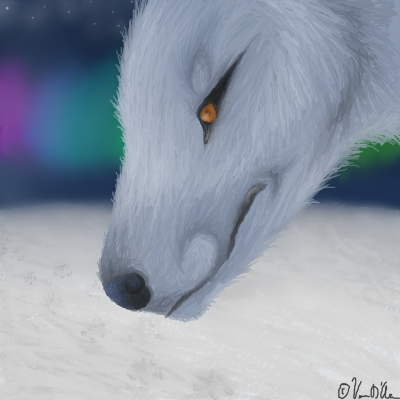 Realistic wolf chimera by BlackInfernoo