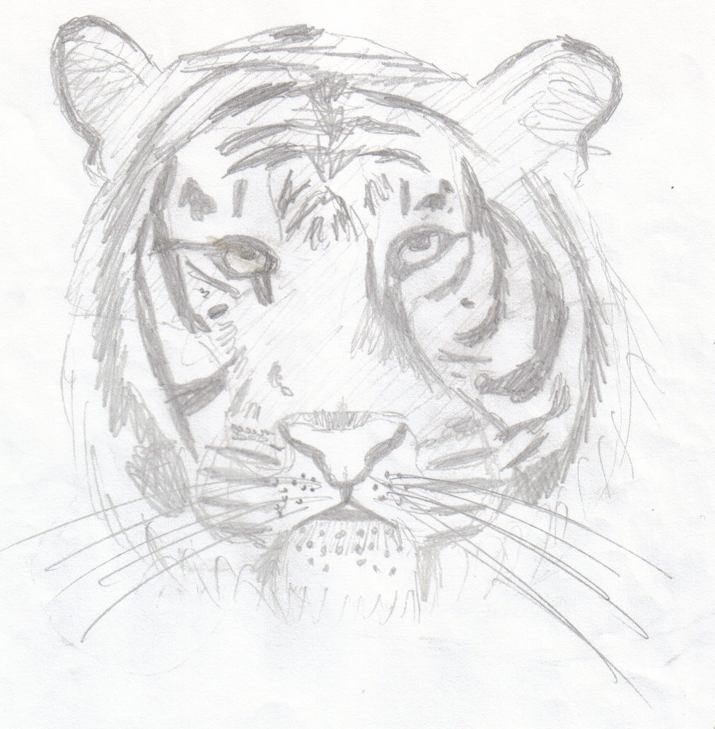 Tiger by BlackSmoke