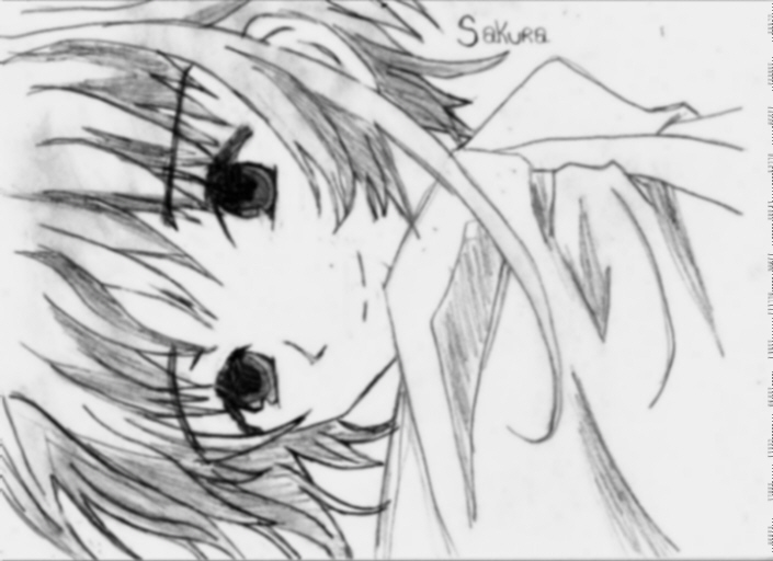 Sakura ~-Little Kitty-~ by BlackSwordsman