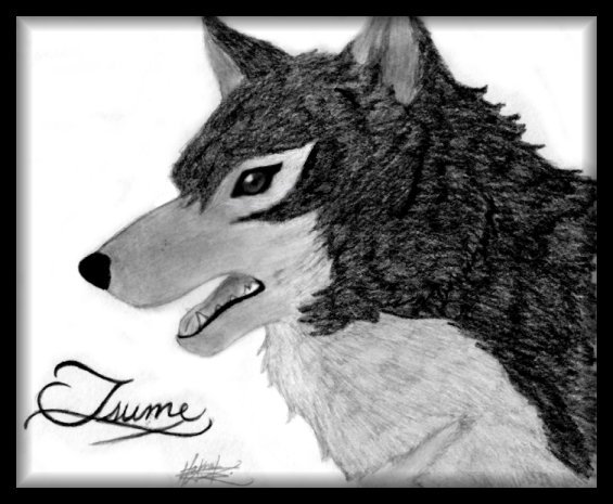 Tsume, wolf form by Black_Mage_Faye