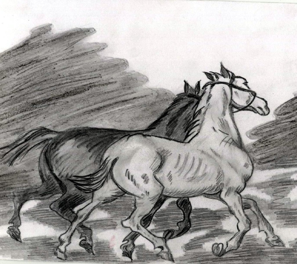 Horses by Blackeyed