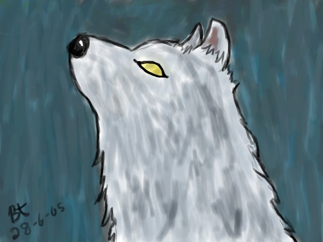 Wolf by Blacktiger55