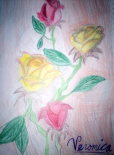 roses by Blackwolfmoon
