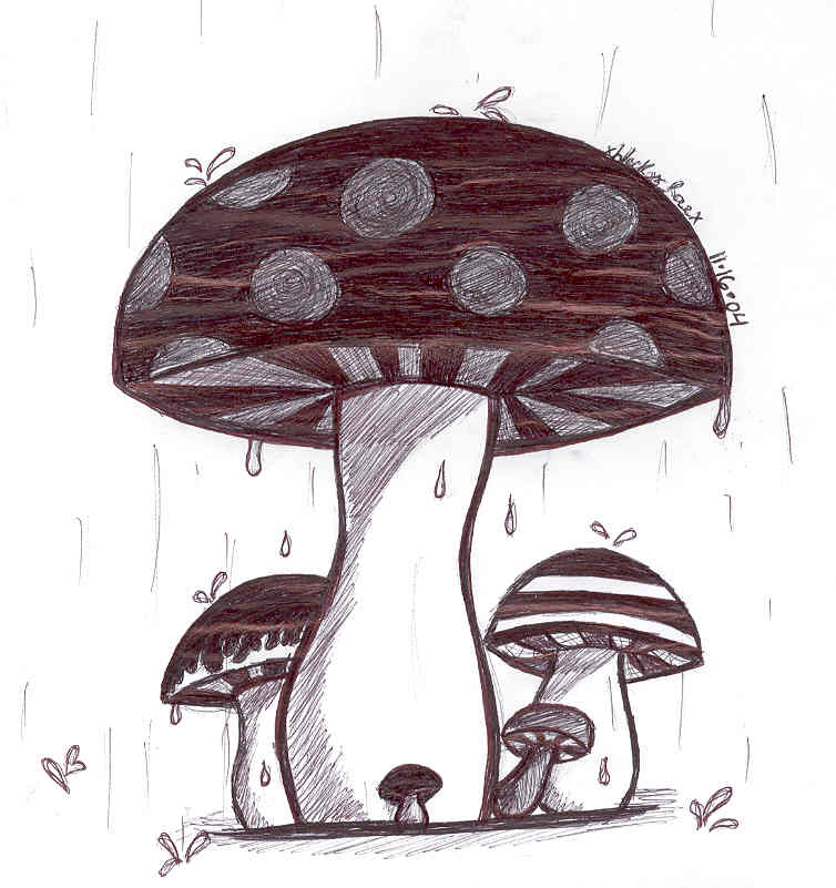 Mushrooms in da rain!!!(not ur ordinary mushrooms! by BlackxRoze