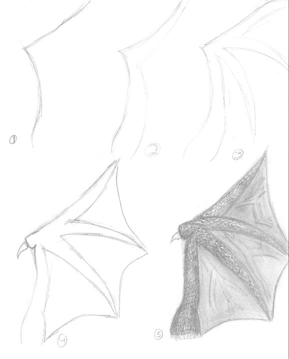 How to draw dragon wings (for Deshwitat666Merlin) by Blade