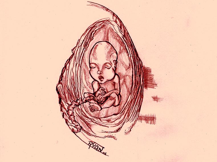 Fetus by Bleak_Lead