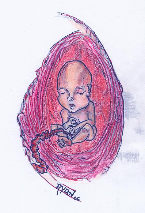Fetus_Color by Bleak_Lead