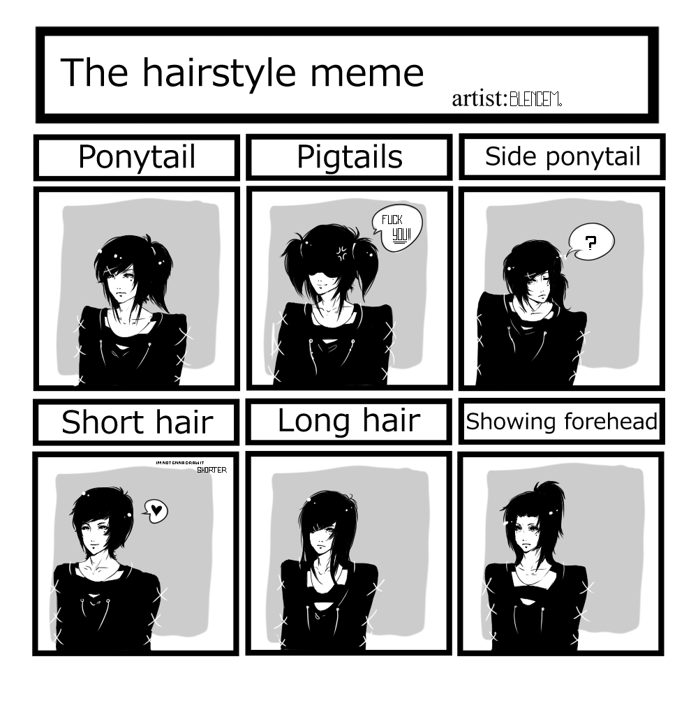 The hairstyle meme by Blencem
