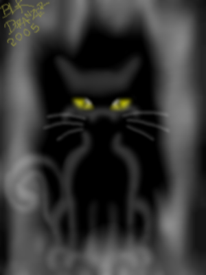 Black Cat by BlkDranzer