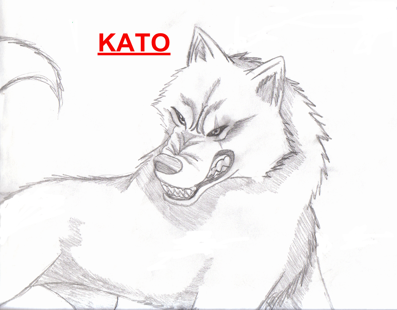 Get'em Kato!!! by BlueEyedWolfGurl