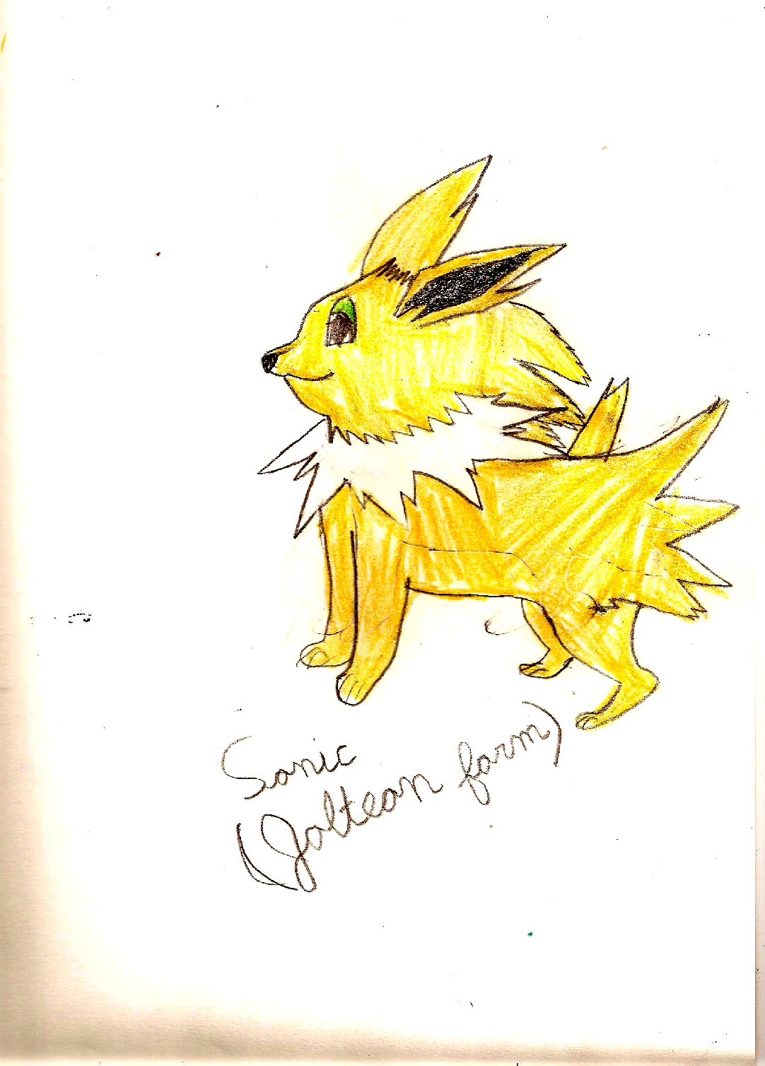 Sonic Jolteon Form by Blueflash1996