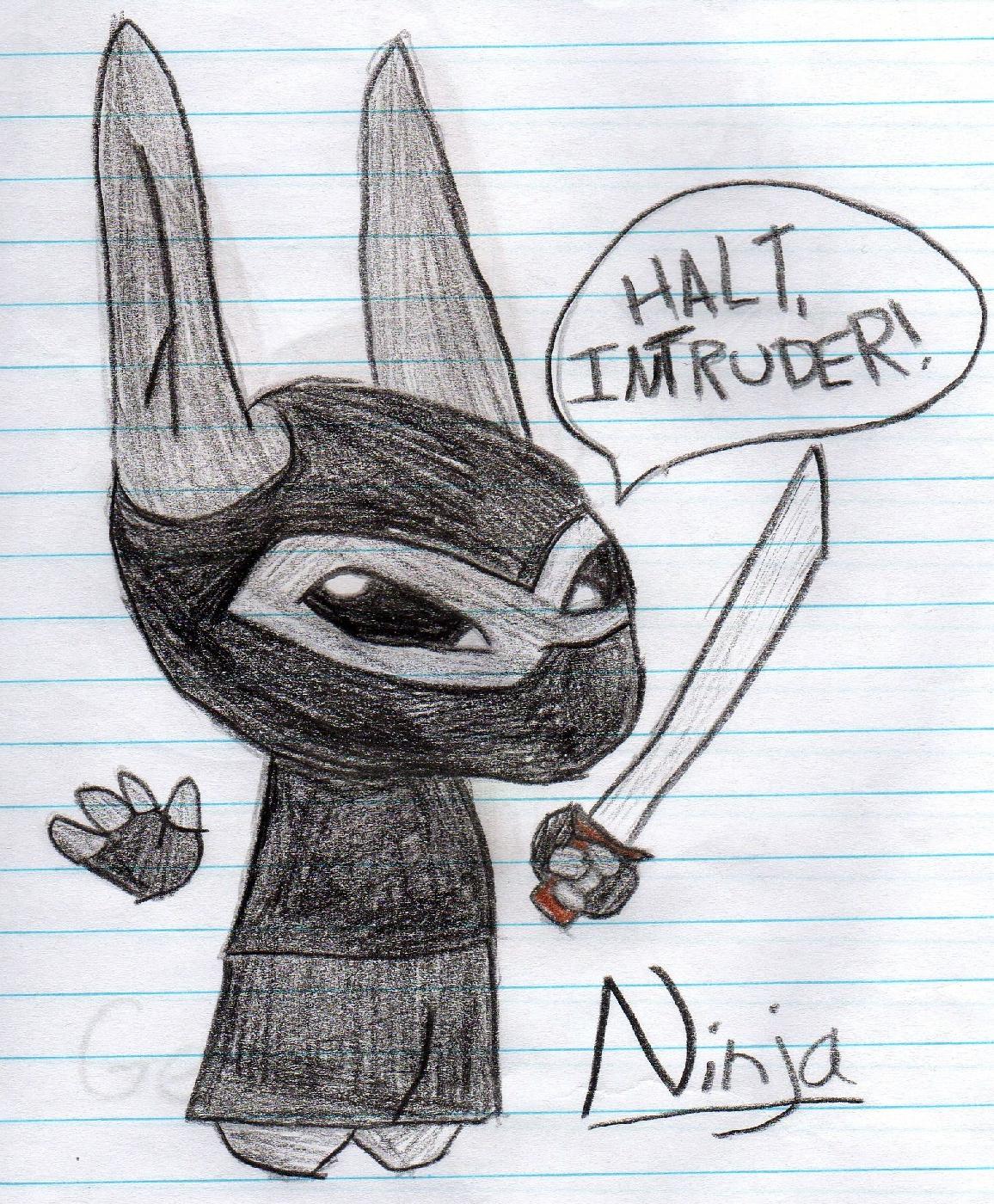 Ninja Bunny - Hand-drawn by Boo810