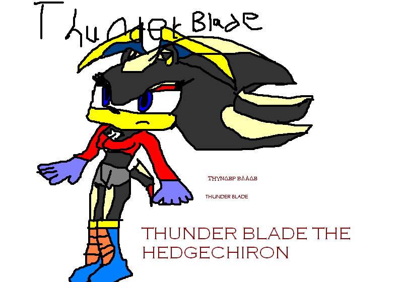 thunder blade the hedgehog chiron by BrotherHurmilleSisterRebecca