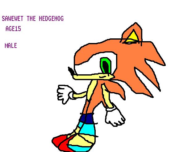 sawewet the hedgie by BrotherHurmilleSisterRebecca