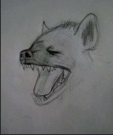 Spotted hyena sketch by BtasJokerFan