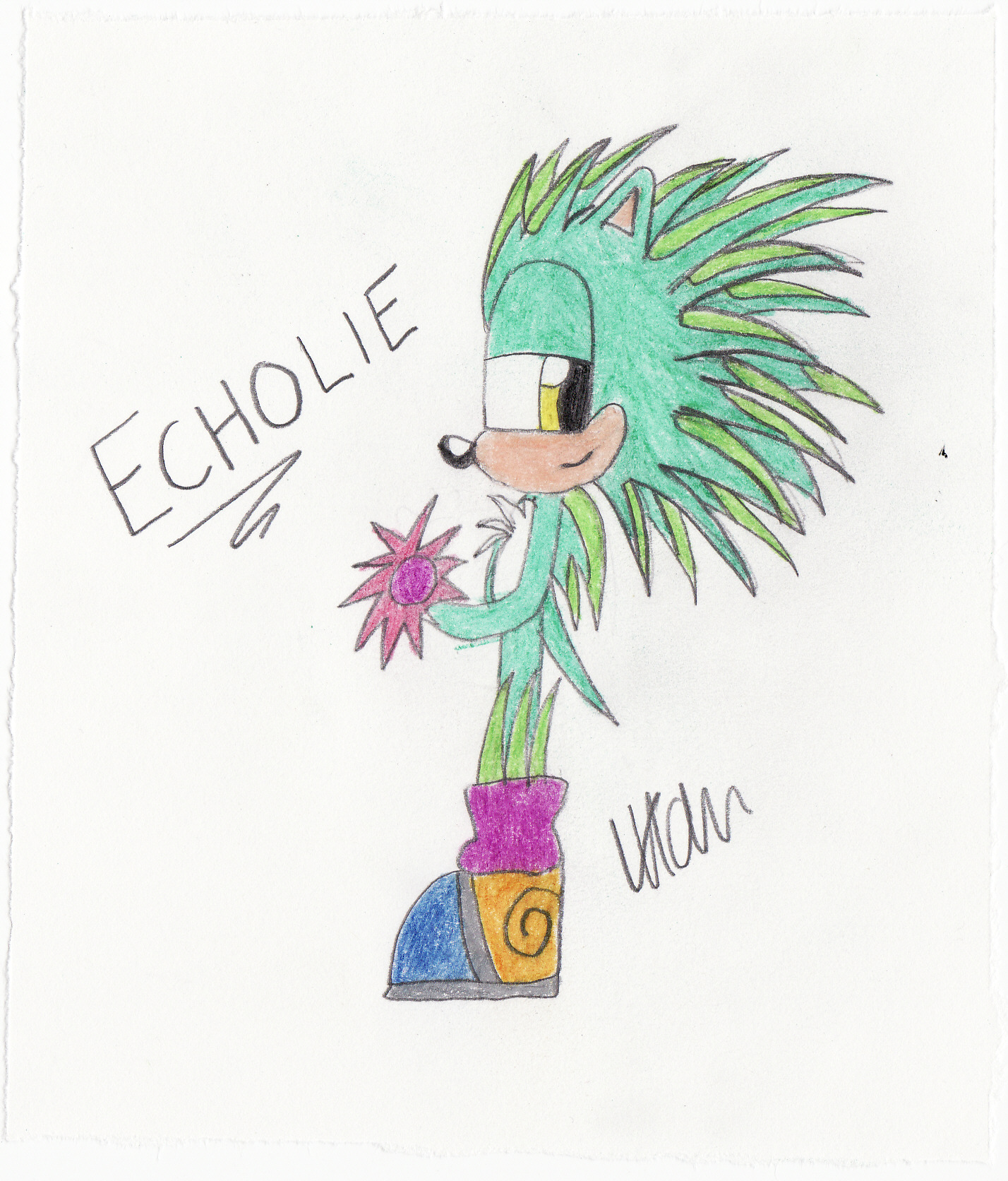 Echolie The Hedgehog *request for 2k_sugar_gliders* by BubblesHedgie