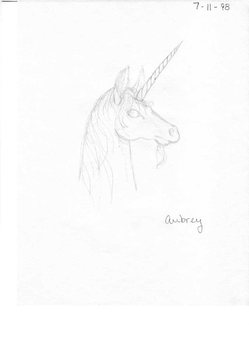 Delicate Unicorn by Bucket