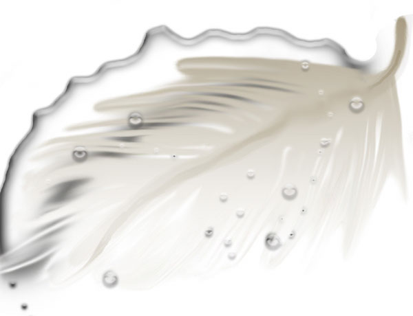 Wet Feather by Bullet_with_Butterfly_wings