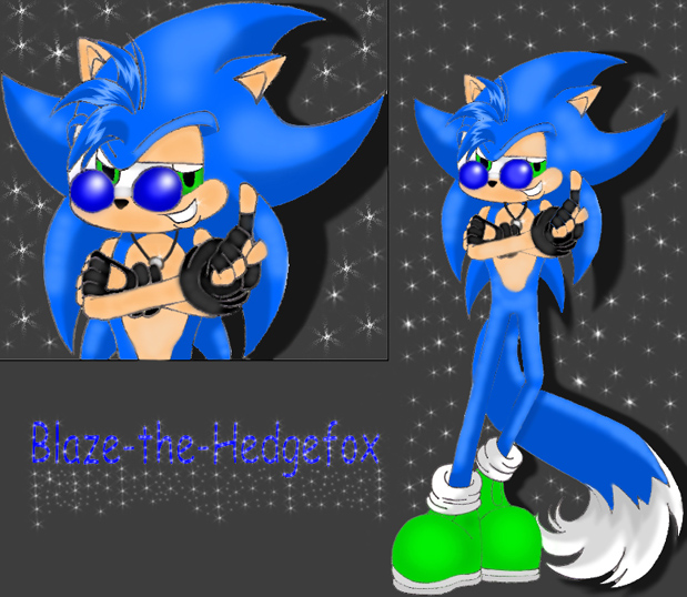 Blaze-the-Hedgefox (Gift for a friend on DA) by ButterflyKisses