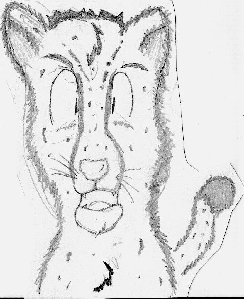 my sad atempt to draw a cheeta by barbara