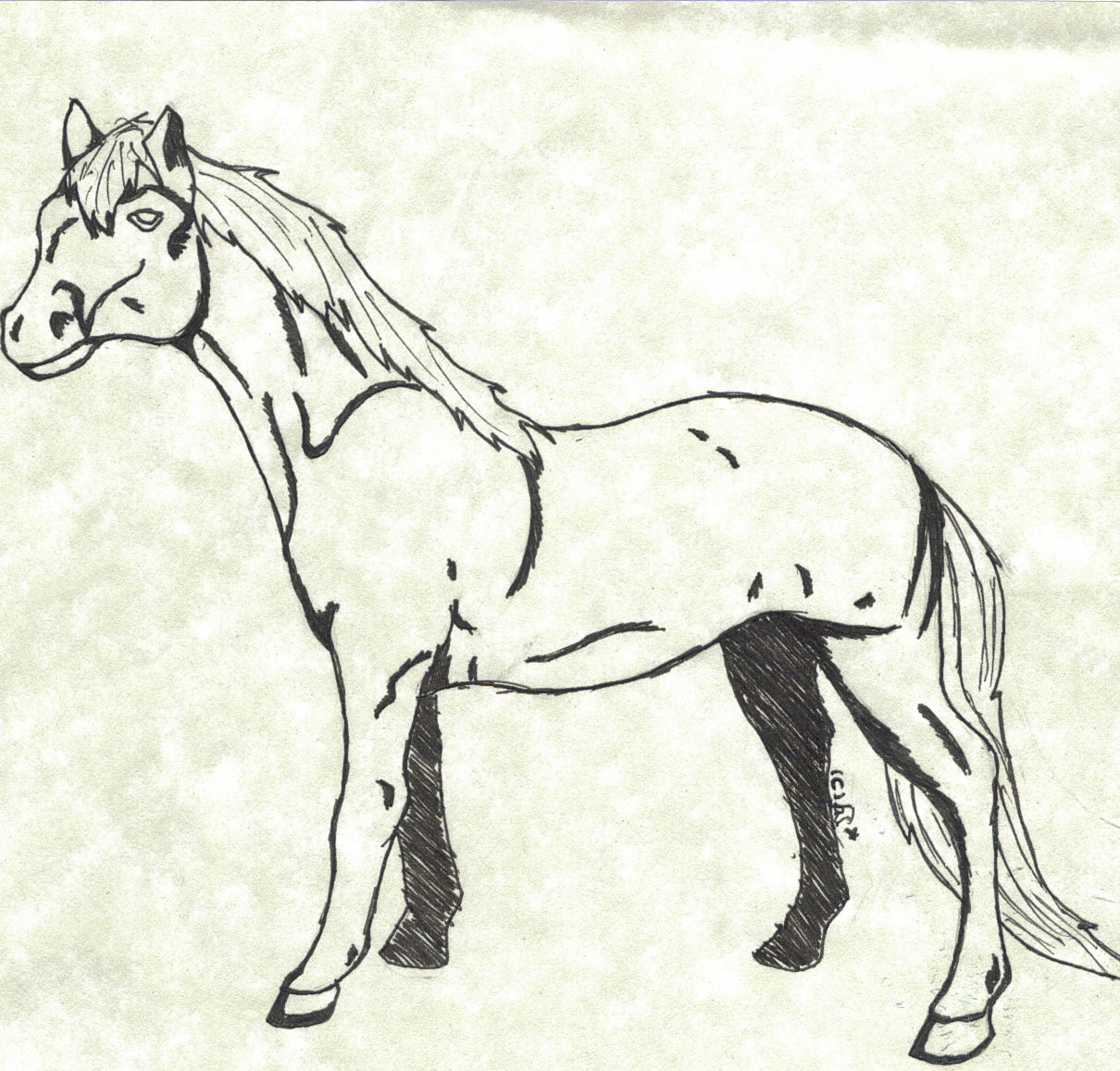 Horse on specil paper o.O by barbara