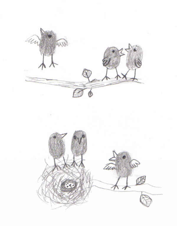 Birds *cute* by battousaisgurl