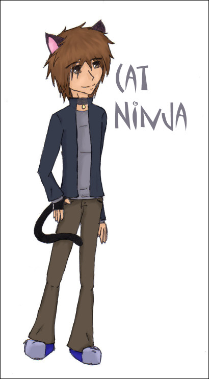 CAT NINJA!! by biofreak5