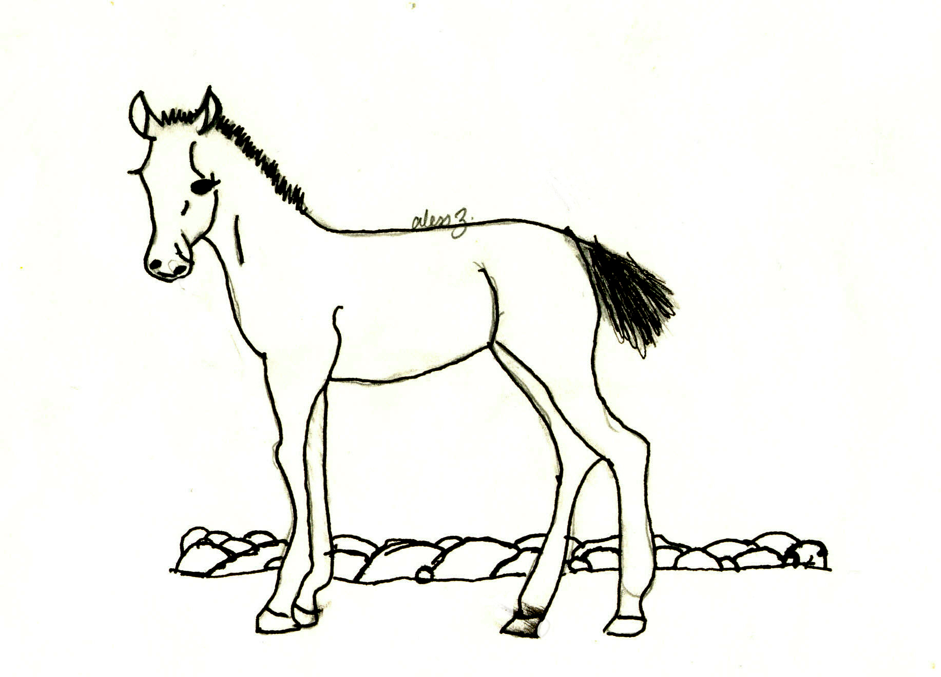 Horsey by blackdragon1991