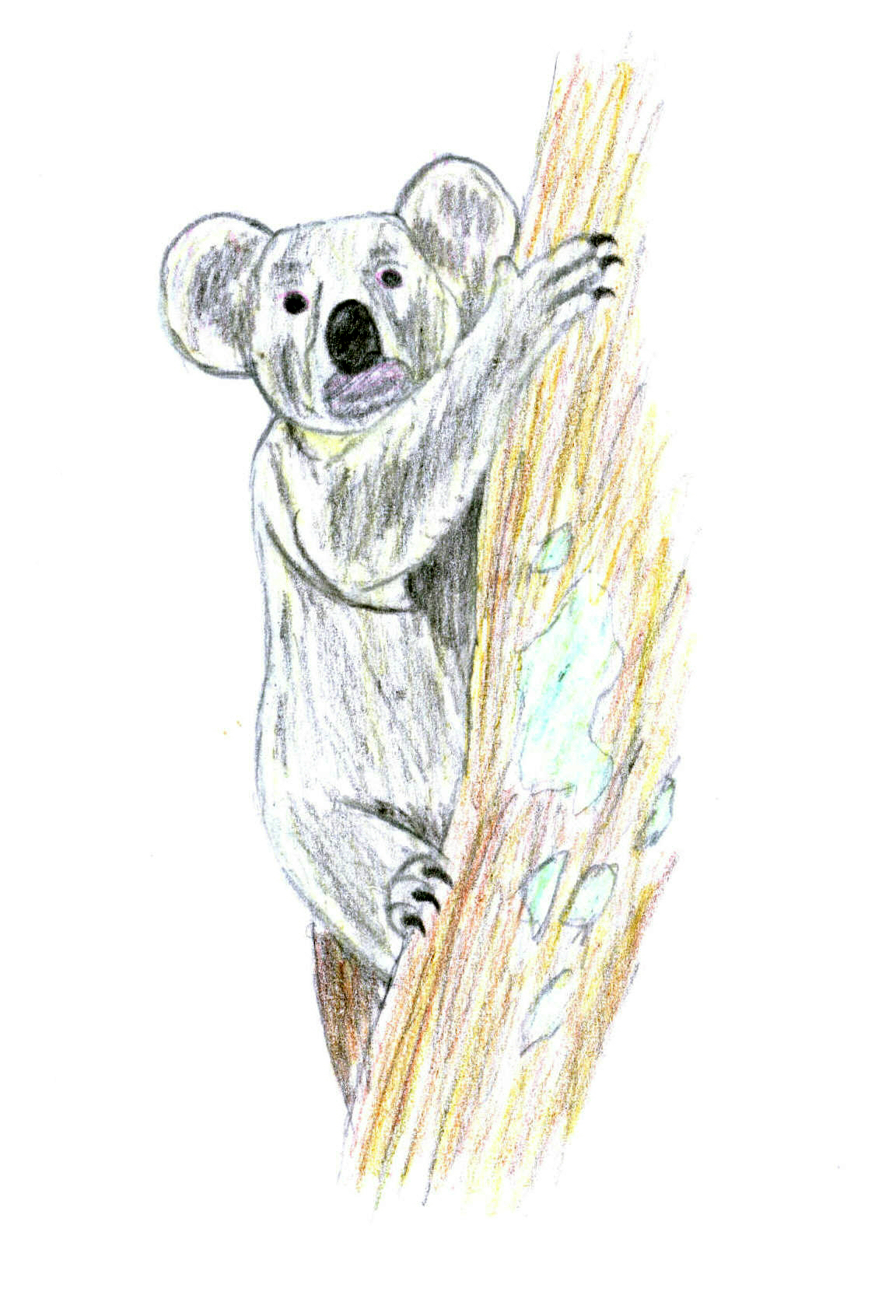 Funky Koala by blackdragon1991