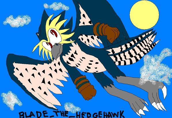 Blade the hedgehawk by blade_the_hedgehawk
