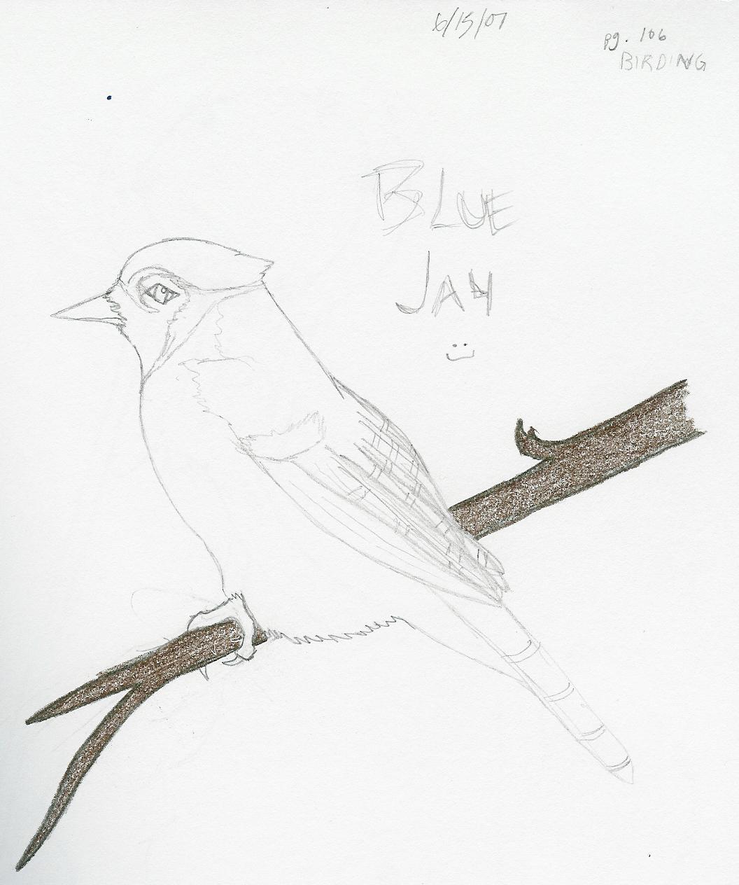 Blue Jay by blood_of_inuyasha