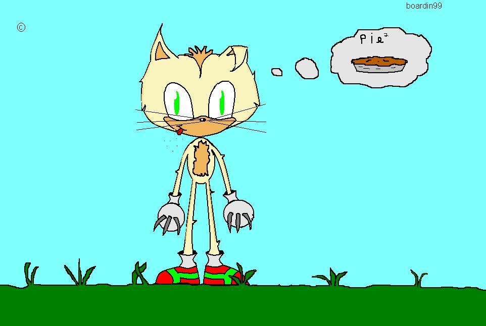 sonic style ally cat -for  infurno (A. S. H.) by boardin99