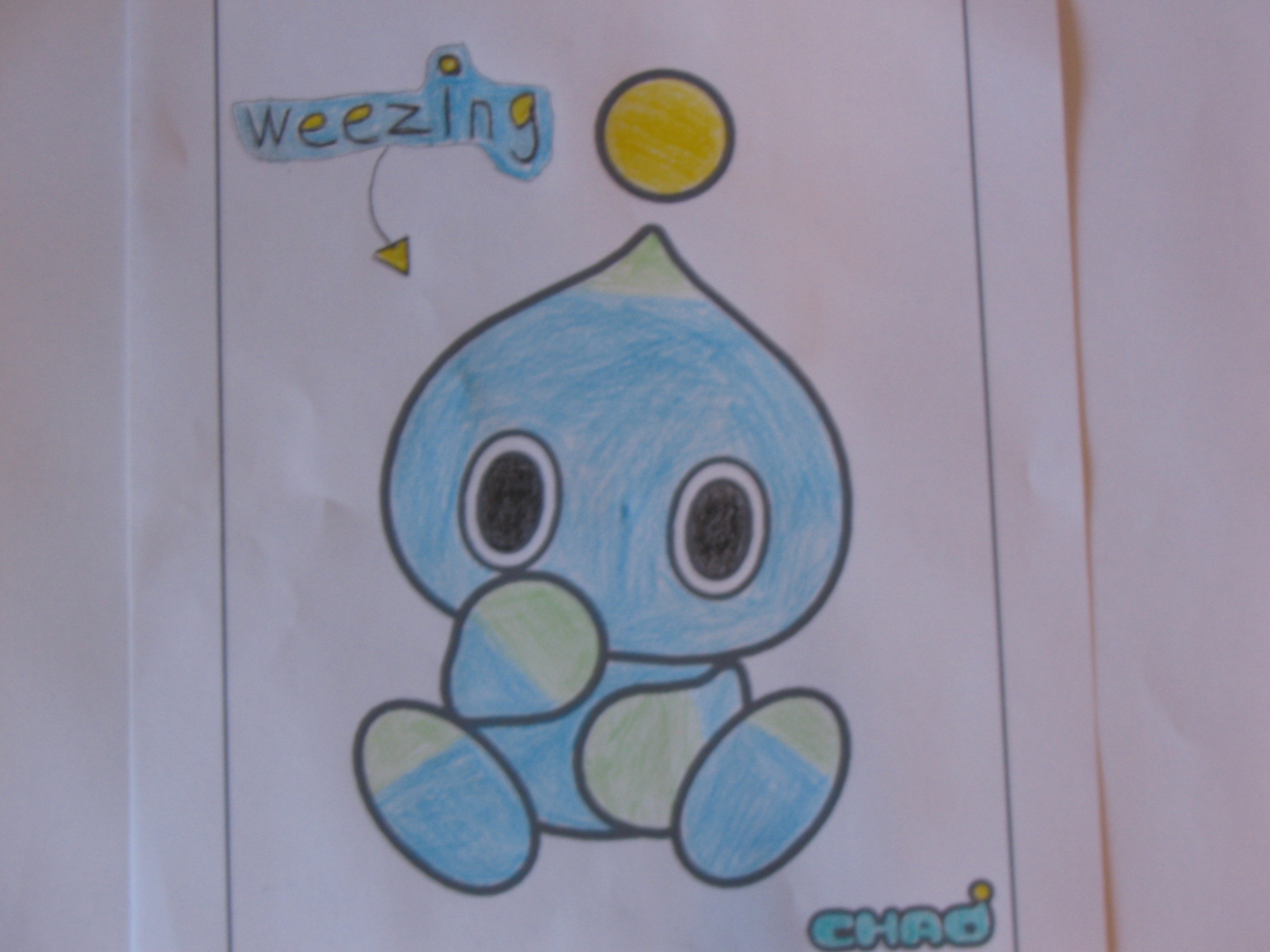 My Chao Named Weezing by boobear9396