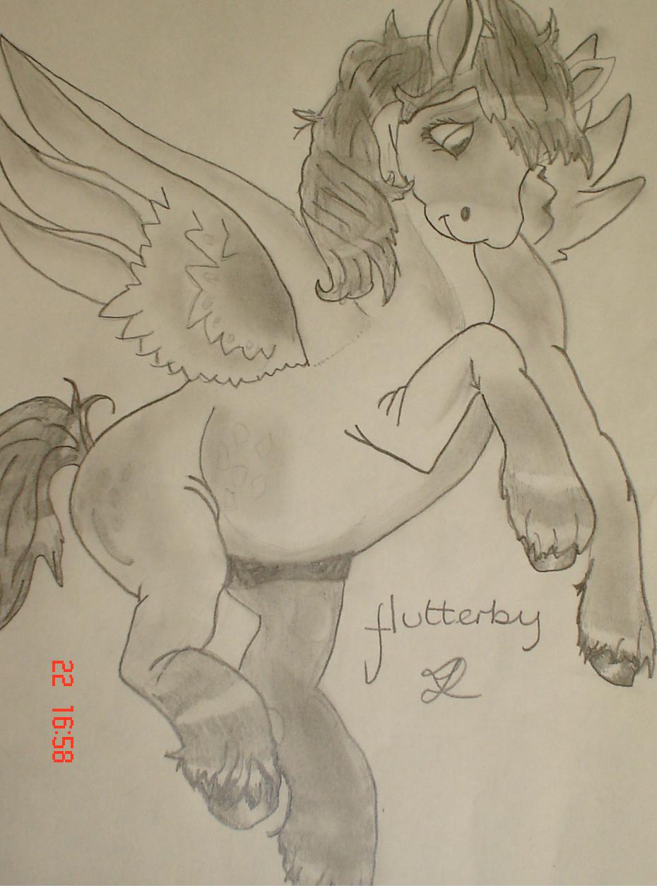 Flutterby  (pegasus) by boxingbabe