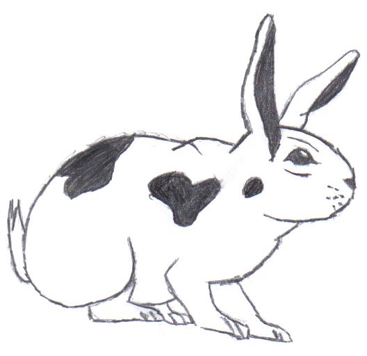My Bunny by boymaid