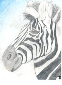 Zebra by brittanybob