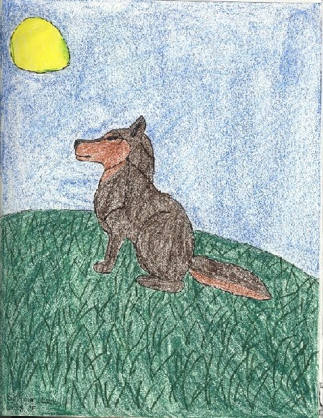 wolf on a hill by brown_tabby