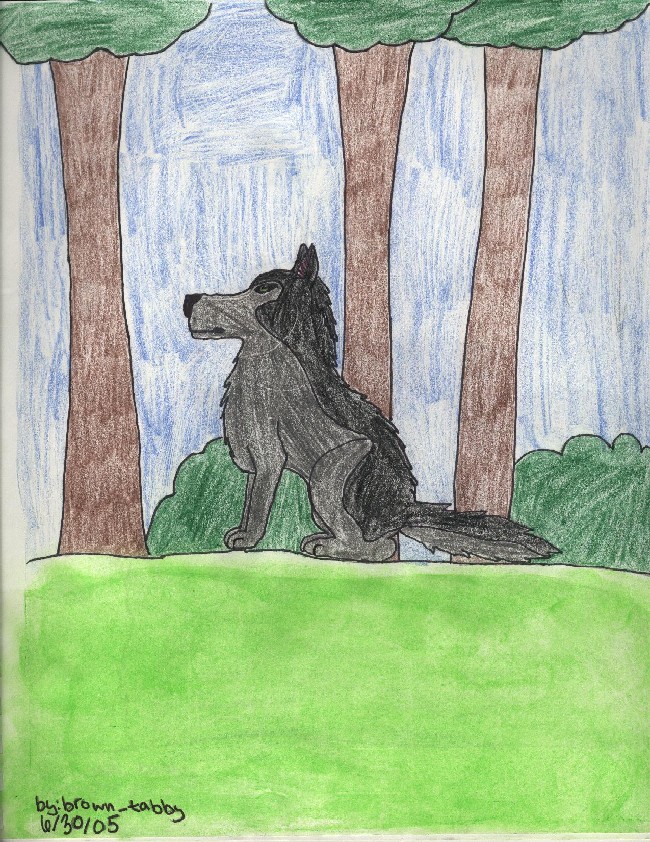 my wolf in a forest by brown_tabby