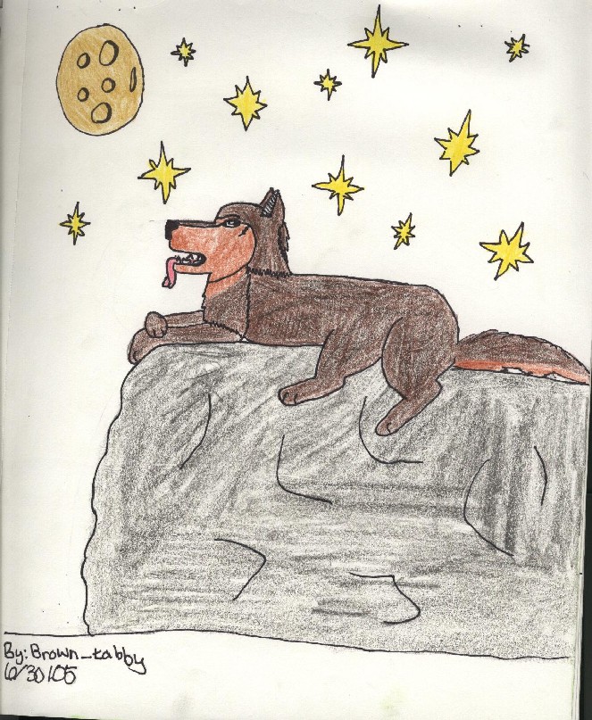 a powerful wolf on rock by brown_tabby