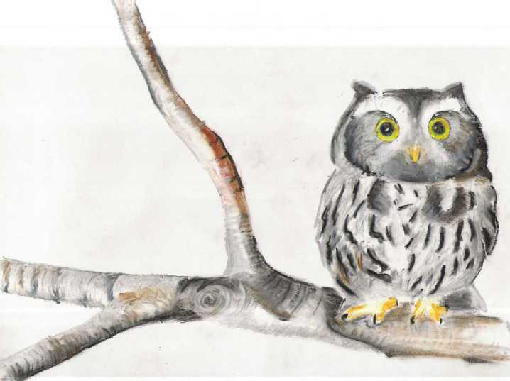 I luv owls by bruffleshnif
