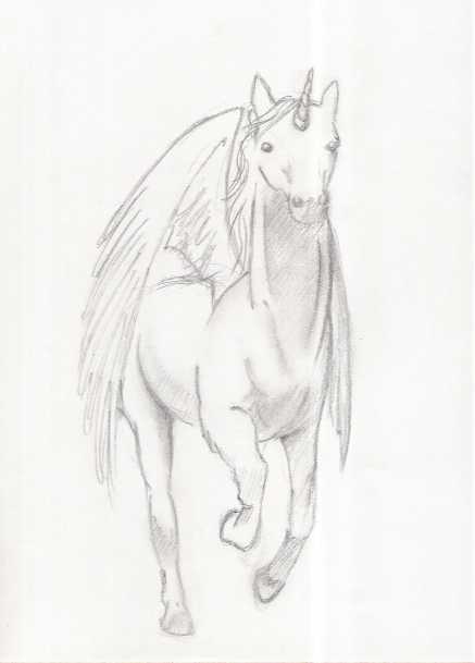 a unicorn by bruffleshnif