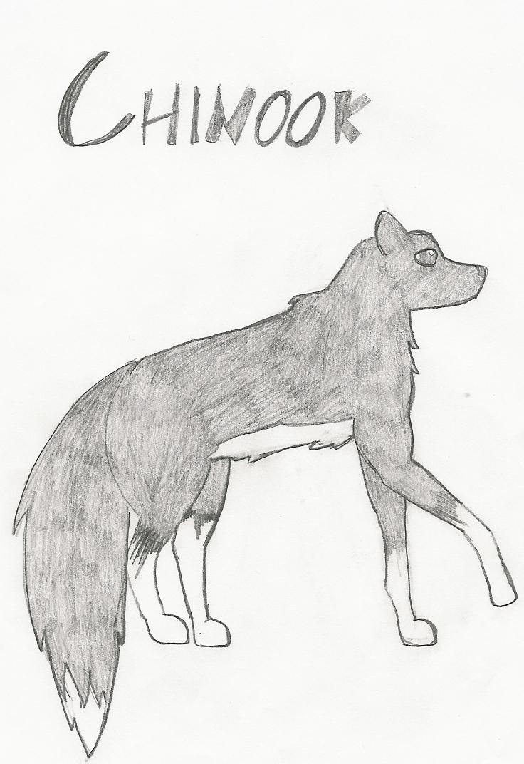 Chinook by bubblefield